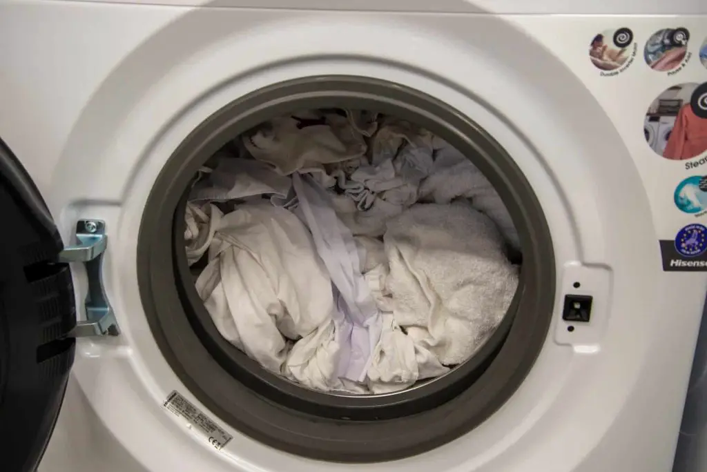 Washing machine gasket
