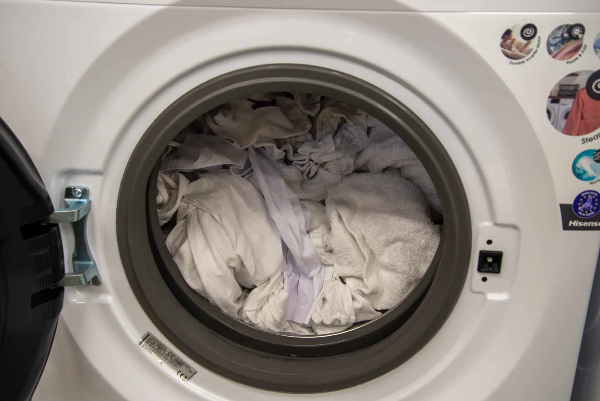 What is a washing machine gasket? (Explained for beginners) Diary of
