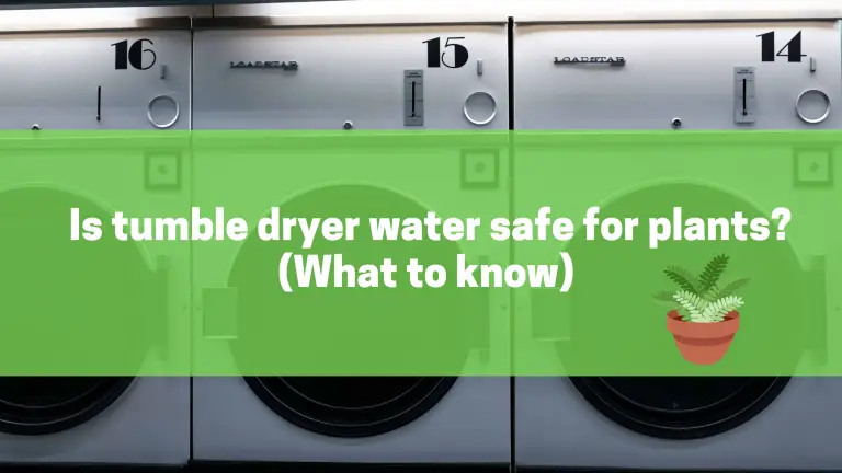 Is tumble dryer water safe for plants? (What to know)