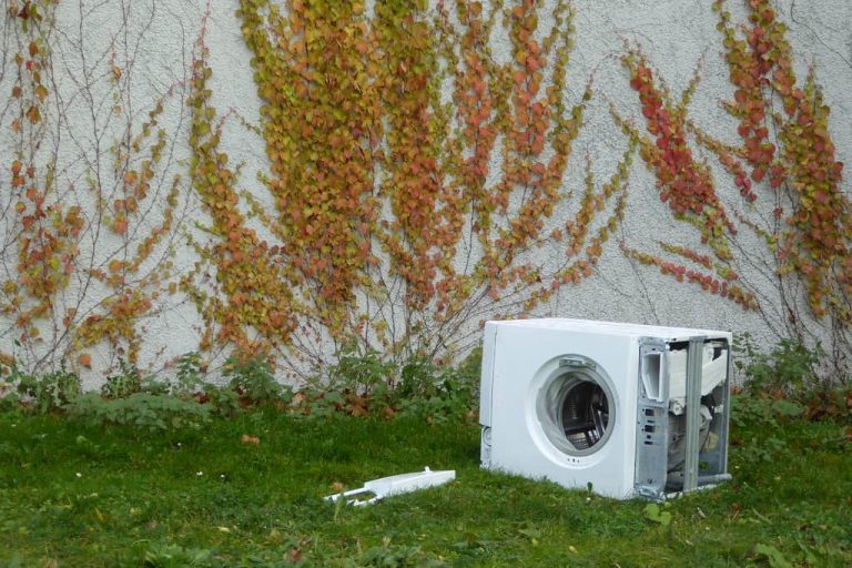 Is tumble dryer water safe for plants? (What to know) Diary of Spaces