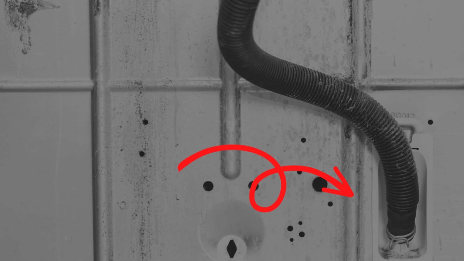 Whirlpool Washer Drain Hose Clogged? (How To Fix) Diary of Spaces