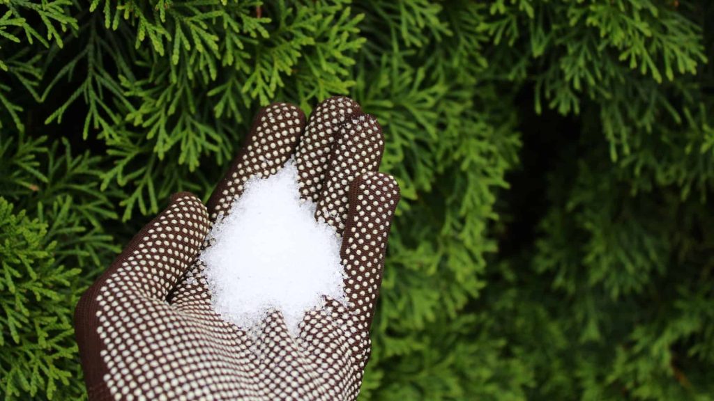 Epsom salt in washing machine