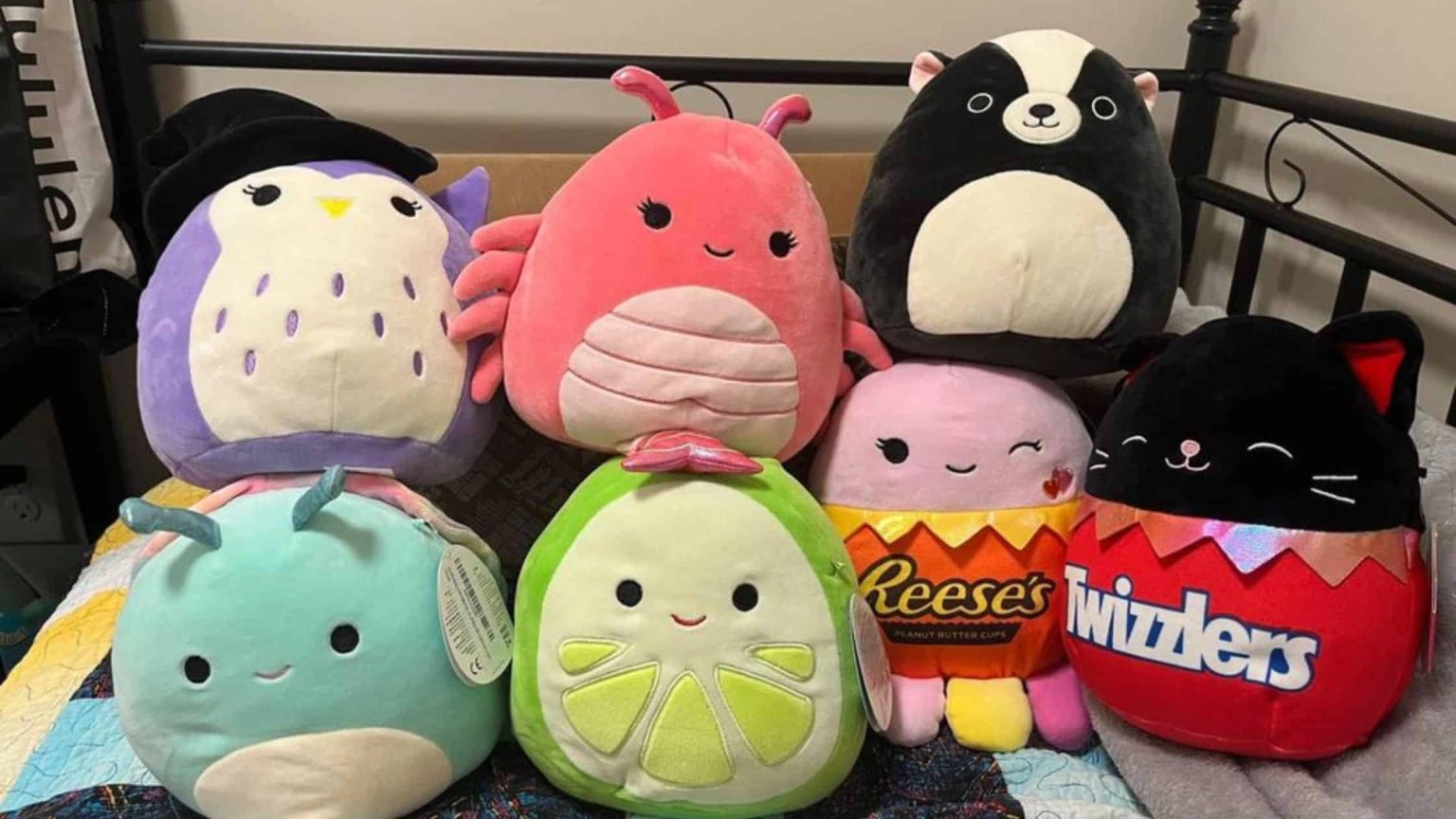 Can You Put Squishmallows In The Washer? (Answered) Diary of Spaces