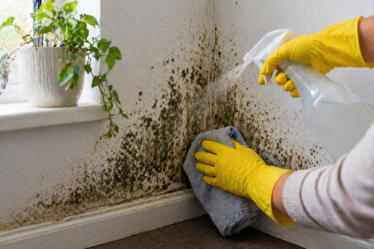How to Clean Mould Off Walls (and Stop It Coming Back)