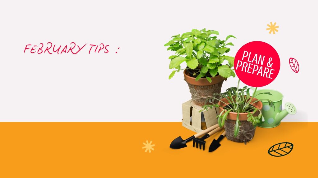 tips for spring garden